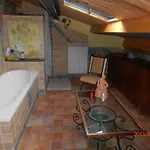 Cerasola