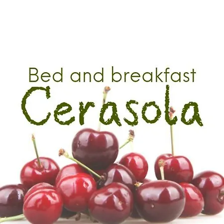 Cerasola